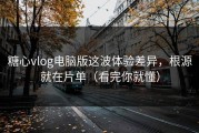糖心vlog电脑版这波体验差异，根源就在片单（看完你就懂）