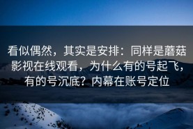 看似偶然，其实是安排：同样是蘑菇影视在线观看，为什么有的号起飞，有的号沉底？内幕在账号定位