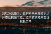 我以为我懂了，直到本来只是随手点开蘑菇视频下载，结果被收藏夹整理狠狠击中