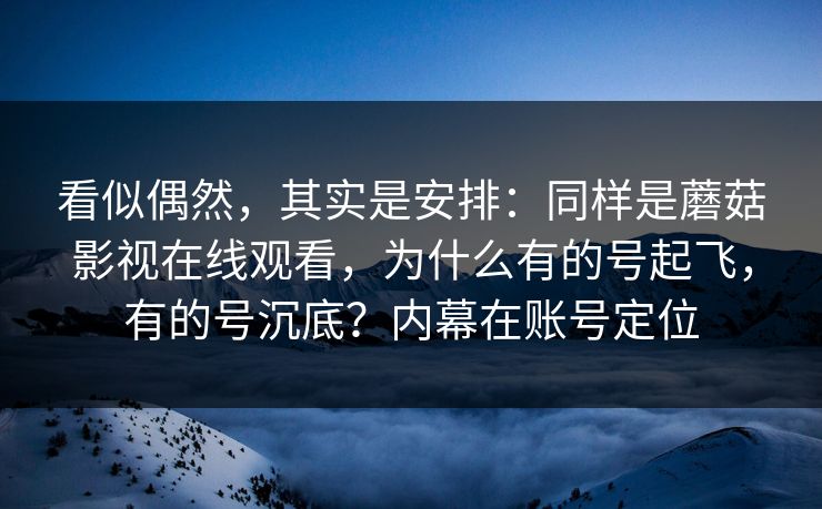 看似偶然，其实是安排：同样是蘑菇影视在线观看，为什么有的号起飞，有的号沉底？内幕在账号定位