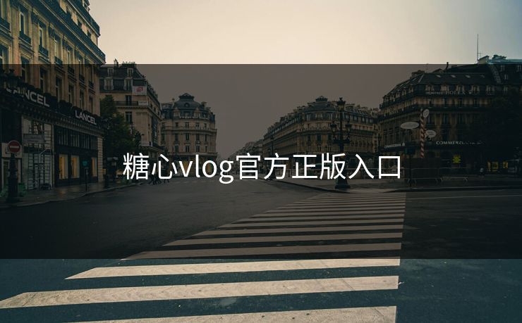 糖心vlog官方正版入口