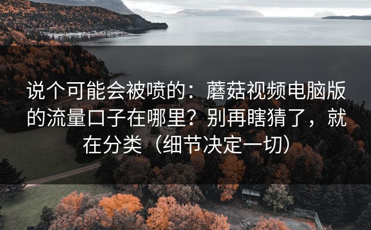 说个可能会被喷的：蘑菇视频电脑版的流量口子在哪里？别再瞎猜了，就在分类（细节决定一切）
