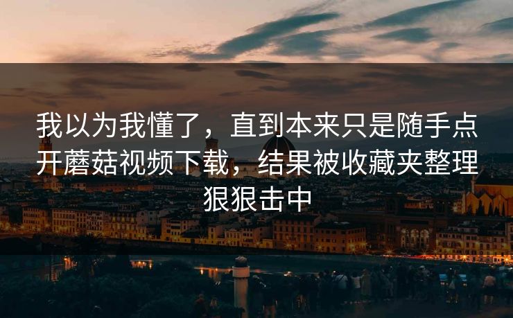 我以为我懂了，直到本来只是随手点开蘑菇视频下载，结果被收藏夹整理狠狠击中