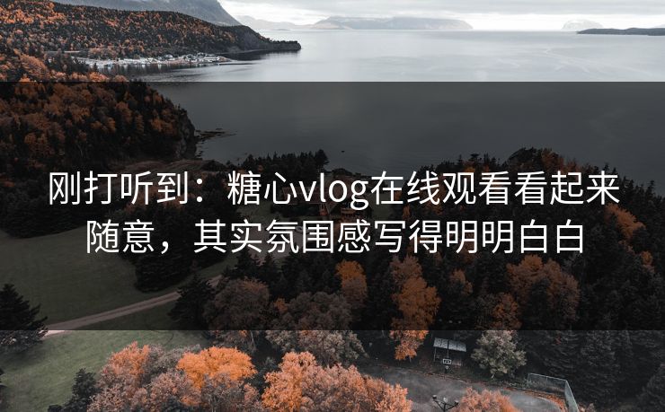 刚打听到：糖心vlog在线观看看起来随意，其实氛围感写得明明白白