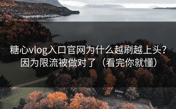 糖心vlog入口官网为什么越刷越上头？因为限流被做对了（看完你就懂）