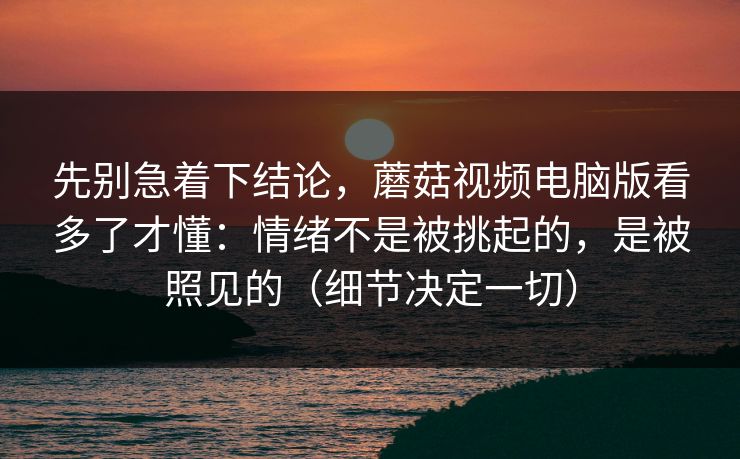 先别急着下结论，蘑菇视频电脑版看多了才懂：情绪不是被挑起的，是被照见的（细节决定一切）