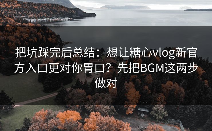 把坑踩完后总结：想让糖心vlog新官方入口更对你胃口？先把BGM这两步做对