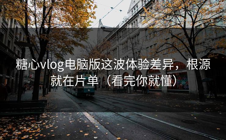 糖心vlog电脑版这波体验差异，根源就在片单（看完你就懂）