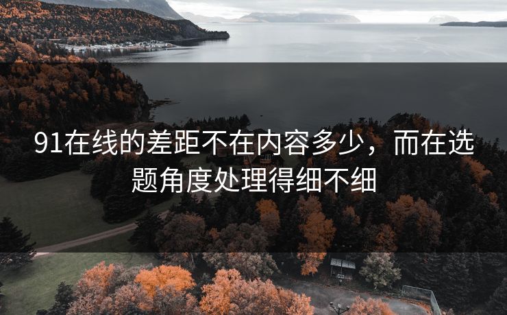 91在线的差距不在内容多少，而在选题角度处理得细不细